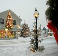 a christmas tree in front of a store on a snowy street with lights and decorations