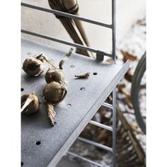 mushrooms are sitting on the side of a metal bench