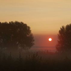 the sun is setting behind some trees on a foggy day with no one in sight