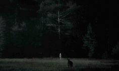 a deer standing in the middle of a forest at night