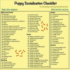 the puppy socialization checklist is shown in orange and black with brown dots on it