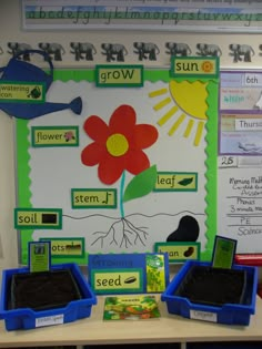 a bulletin board with flowers and plants on it