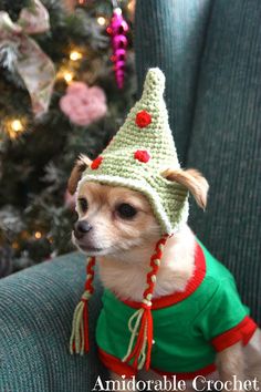 a small dog wearing a knitted christmas hat and green shirt sitting in front of a christmas tree