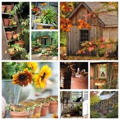 many different pictures of flowers and plants in pots on the outside, including sunflowers