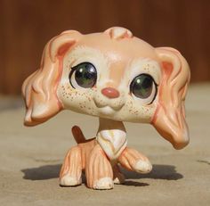 a small toy dog with big eyes sitting on the ground