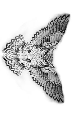 a drawing of an eagle flying through the air