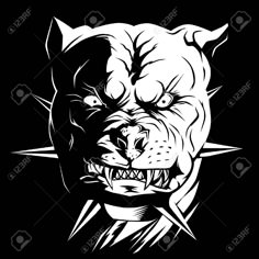 an angry dog's face with sharp teeth and fangs on a black background stock photo