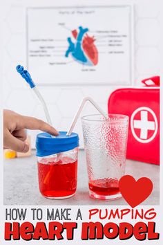 two cups with liquid in them and the words how to make a pumping heart model