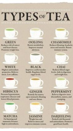 the types of tea in different cups