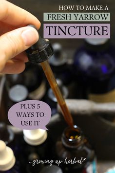 How To Make A Glycerin Tincture, How To Make Goldenrod Tincture, Yarrow Tincture Recipe, Yarrow Tincture Benefits, Fever Few Tincture, Making Herbal Tinctures, How To Make Yarrow Tincture, Yarrow Tincture, Lemon Balm Tincture How To Make