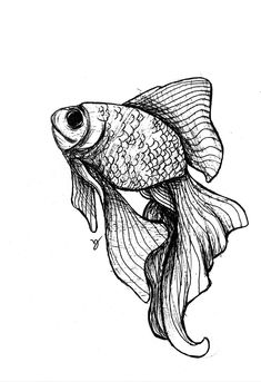 a black and white drawing of a fish