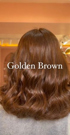 Honey Chestnut Brown Hair, Golden Brown Hair Color Honey, Hair Colors For Medium Skin Tone, From Black To Brown Hair, Honey Hair Color Caramel, Light Amber Brown Hair, Nut Brown Hair, Coco Brown Hair, Types Of Brown Hair Color Shades