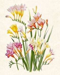 a painting of flowers with green stems and pink, yellow, and white ones in the center