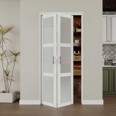 an open pantry door in a kitchen next to a potted plant on the floor