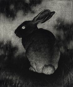 a black and white photo of a rabbit