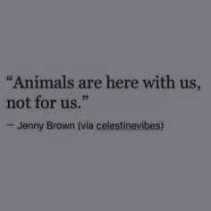 an animal quote that reads animals are here with us, not for us jenny brown