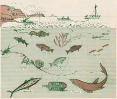 an image of fish in the water with other animals around it and boats on the water