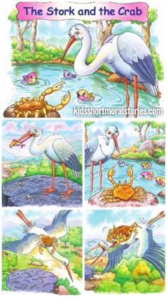 the story of stork and the crab is shown in this children's book