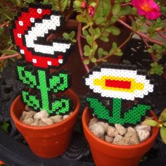 two potted plants with pixelated designs on them sitting in front of some flowers