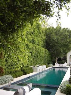 an outdoor swimming pool surrounded by greenery and white couches with pillows on it