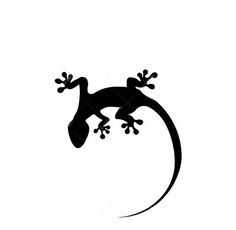 a gecko silhouetted on a white background