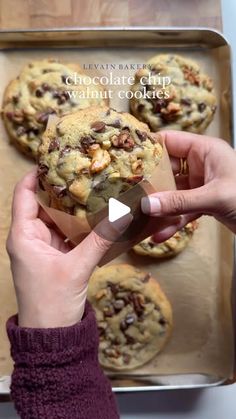 a person holding a chocolate chip walnut cookie