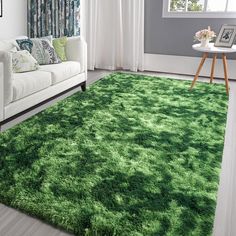 a living room with a green rug on the floor