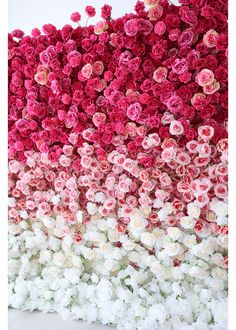 a large group of pink and white flowers in the middle of a wall with one flower on it's side