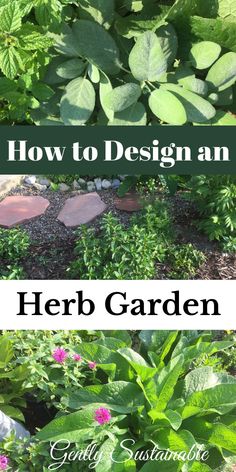 herbs garden with text overlay how to design an herb garden