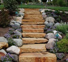 stone steps lead up to the top of a garden bed with purple flowers in bloom