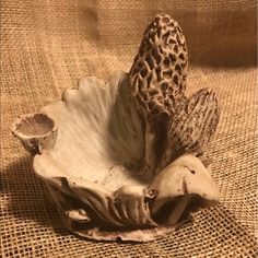 Mid Century Modern Clay Art Stash Dish Decorated with species of Mushrooms 1974 Interesting Clay Ideas, Mushroom Pottery Ideas, Mushroom Clay Sculpture, Mushroom Ceramics, Mushroom Pottery, Mushroom Clay, Ceramic Mushrooms, Clay Mushrooms, Paw Print Art