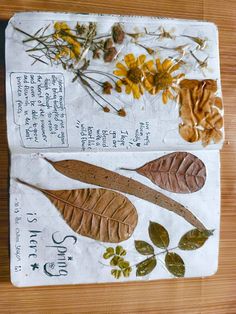 three different types of leaves and flowers on a piece of paper