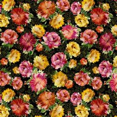 a bunch of flowers that are all over the place in front of a black background