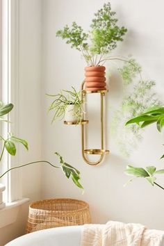 some plants are hanging on the wall near a bathtub and round chair in a white room