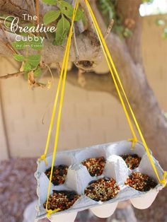 a bird feeder hanging from a tree branch filled with birdseed and other food items