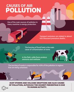 four different types of pollution are shown in this graphic above the words, cause of air pollution