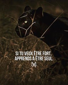 a black panther walking through tall grass with the caption saying, si tu veux ete fort apprends a entre seul