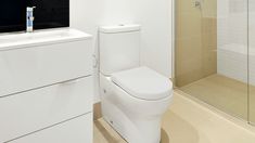 a white toilet sitting next to a walk in shower