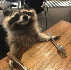 a raccoon sitting on top of a wooden table next to a fork and knife