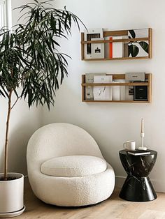 a living room with a potted plant next to a white chair