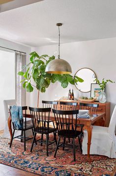 a dining room table with chairs and a potted plant