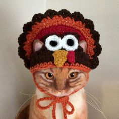 a cat wearing a crocheted turkey hat