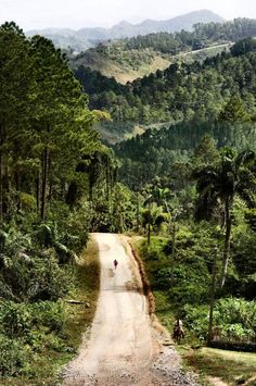 a dirt road surrounded by lush green trees in the middle of a mountain range with people riding bikes on it