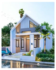 this is a rendering of a modern house with palm trees in the front and side