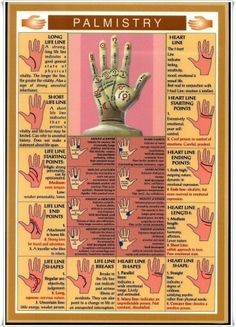 Palmistry Palmistry Reading, Palm Lines, Magia Das Ervas, Palm Reading, Fortune Telling, Reflexology, Spell Book, The Palm, Book Of Shadows