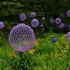 some purple flowers with the words painted chicken wire on them in front of green grass