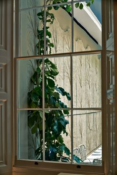 an open window with plants in it and the reflection of a house on the wall