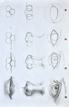 a bunch of drawings that are on top of a piece of paper