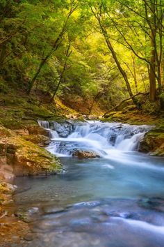 a small waterfall in the middle of a forest filled with trees and water flowing down it's sides