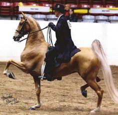 a woman riding on the back of a brown horse